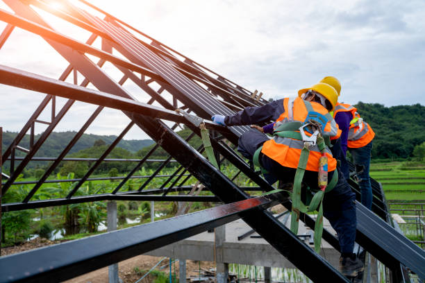 Best Roof Repair Services  in Middleport, NY